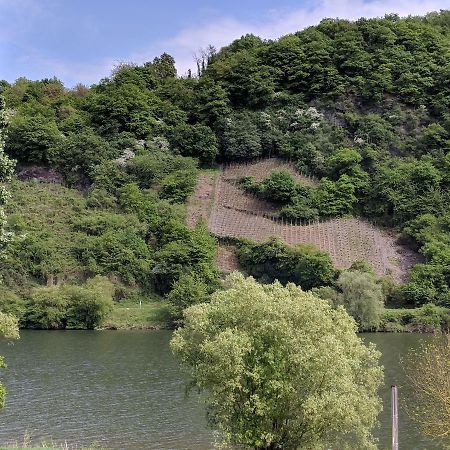 Ferienwohnung "Zum Klosterruinenblick" Kröv Kültér fotó