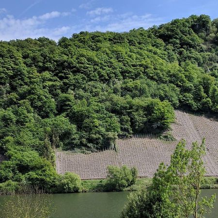 Ferienwohnung "Zum Klosterruinenblick" Kröv Kültér fotó
