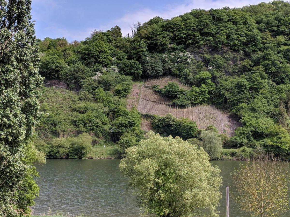 Ferienwohnung "Zum Klosterruinenblick" Kröv Kültér fotó